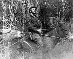 Che on horse