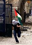 Palestinian freedom now!