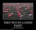 Lawn Gnomes vs Pink Flamingos