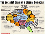 Brain Socialist